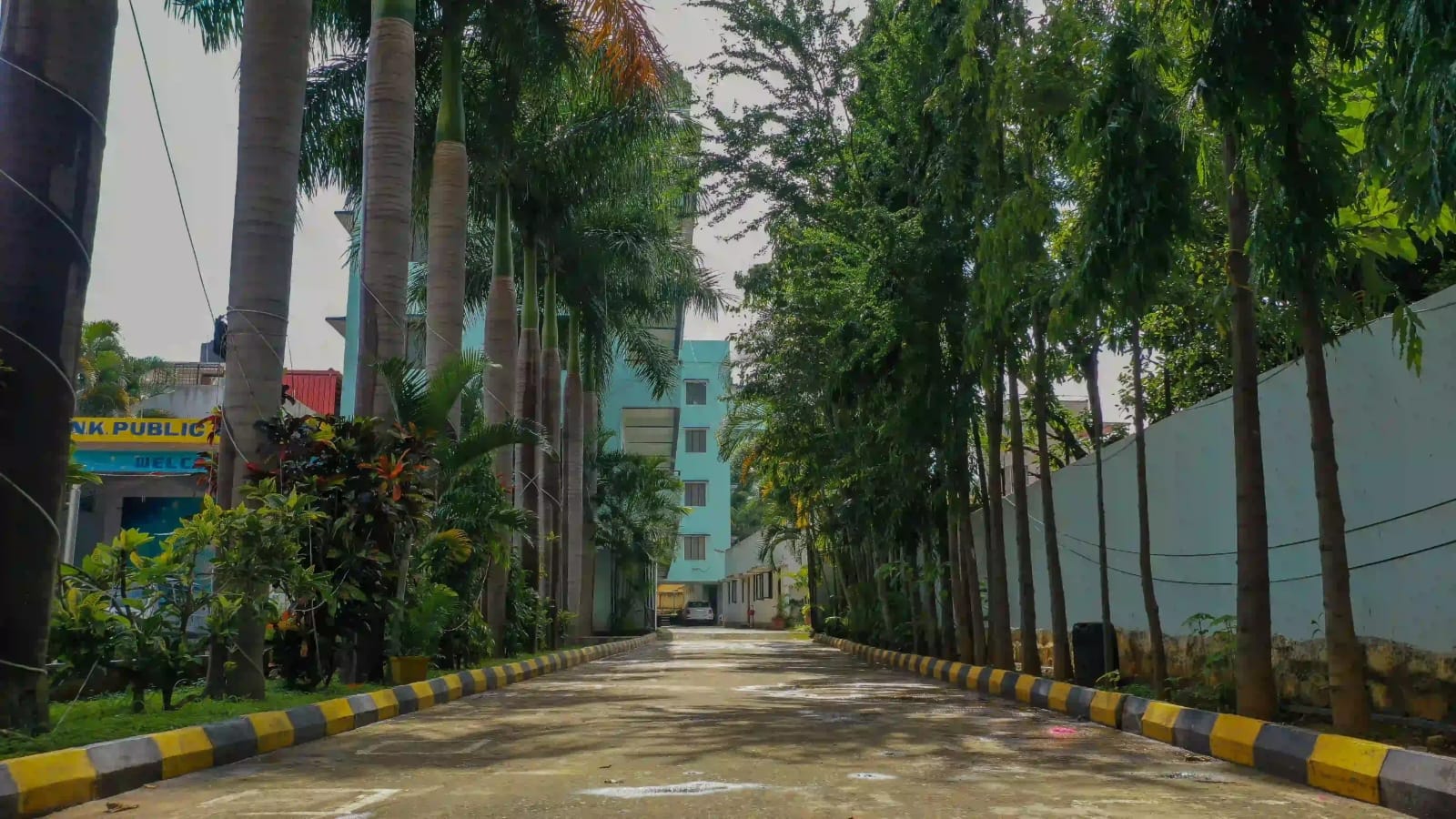 6a696a24 a6ce 47e8 9ed7 332b057728ad